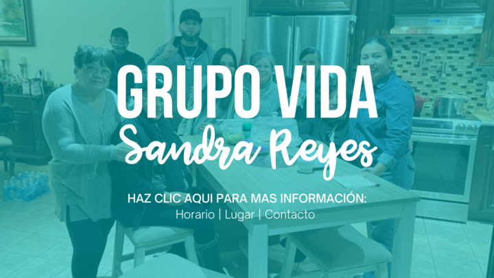 Logo for Grupo Vida | Sandra Reyes
