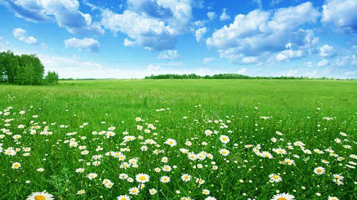 Logo for The Nunn's Community Group