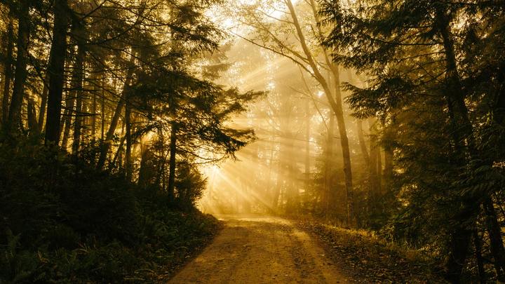 Logo for Central Bon Air Community Group