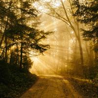 Logo for Central Bon Air Community Group