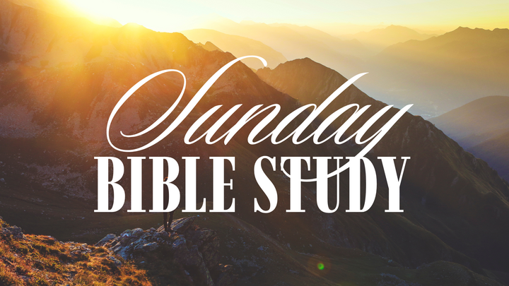 Bible Study