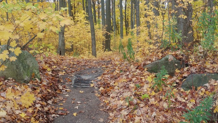 Logo for Kitchener West & Townships