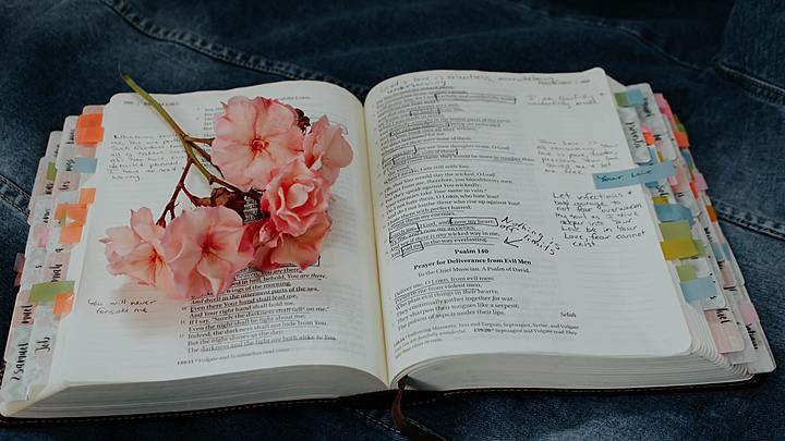 Logo for Grace Girls - Bible Study
