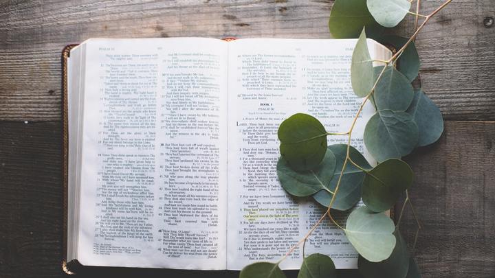 Logo for BGC Reunion Group