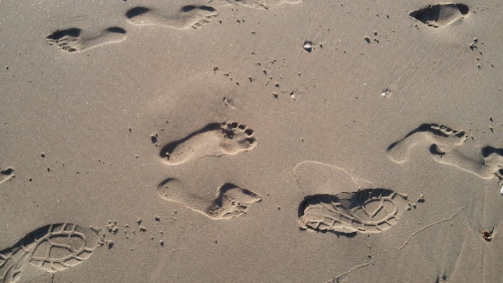 Logo for Jesus Followers