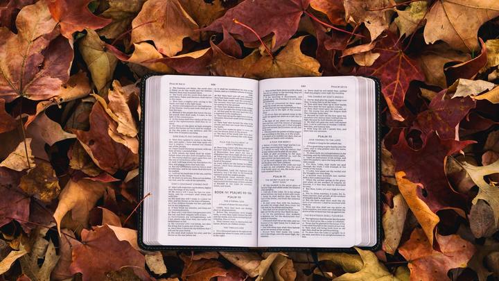 Logo for Ladies of the Lake