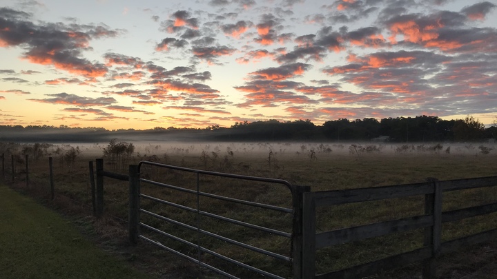 Logo for East Deland Community Group