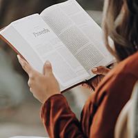 Logo for Tuesday Ladies Group