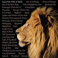 Logo for Chliigruppe