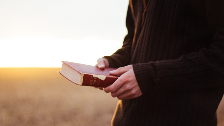 Logo for District NDI Council