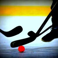 Logo for Men's Ball Hockey