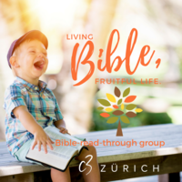 Bible-Read-Through in Zurich City