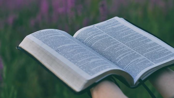 Logo for Women's Bible Journaling