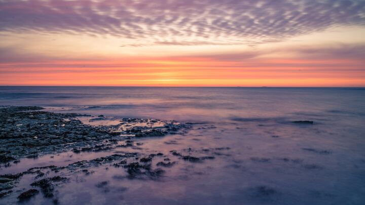 Logo for Herbst Mens Bible Study (Virtual)