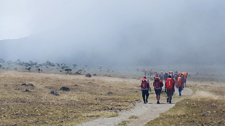 Logo for Men's Wednesday PM Bible Study