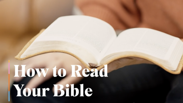 Logo for Frederick | Barry Young's Group