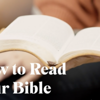 Logo for Frederick | Barry Young's Group