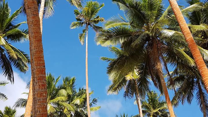 Logo for Friday Connect