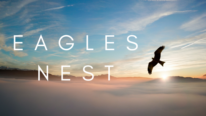Logo for Eagle's Nest