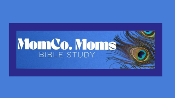 MomCo Bible Study 