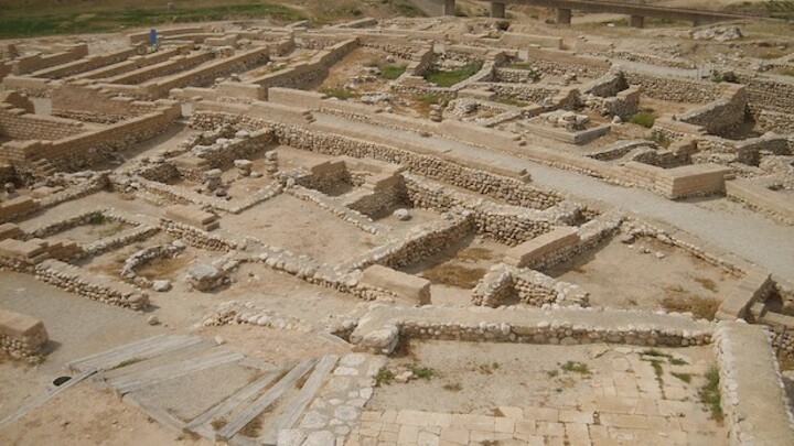 The Dig Site